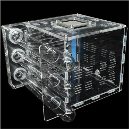 Ameisenzuchtbox, Ant Farm, DIY 3 Tuben Ant Farm Ökologisch AmeisennestAcryl Ameisenhaus Mit Futterbereich Hydratisieren Werkstatt Villa Formicarium Box Pet Anthill Castle19*16.4 * 14cm (Color : von AYULYA