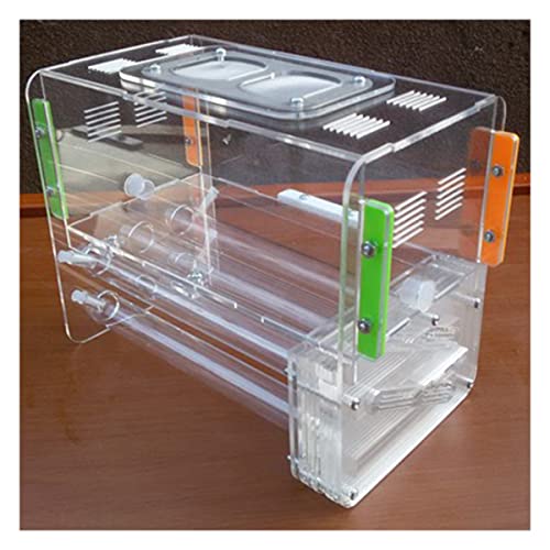 Ameisenzuchtschrank, Ant Farm, Große Ant Farm 6 Tube Design DIY Ant Nest Castle With Feeding Area Acryl Ants House Pet Mania Villa Anthill Workshop (Color : A) von AYULYA