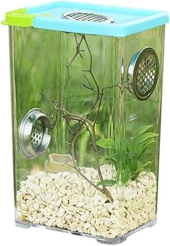 Reptile Feeding Box,Stick Enclosure Praying Mantis Enclosure Gecko Terrarium Small Terrarium Jumping Spider Enclosure Reptile Breeding Box Clear Acrylic Reptile Terrarium Feeding Box For Spider von AYULYA