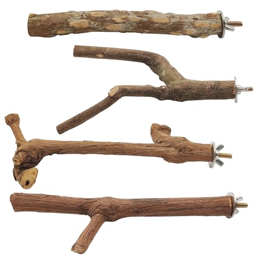 4 Stück natürliche Holz-Sitzstange für Papageien, 2 Sitzstangen aus Traubenholz, ein Ständer, Gabel, stehender Ast, eine Pfotenschleifgabel, Vogelkäfigzubehör für Sittiche, Vogelkäfigstäbe und 4 Stück natürliche Holz-Sitzstange für Papageien, 2 Sitzstangen aus Traubenholz, ein Ständer, Gabel, stehender Ast, eine Pfotenschleifgabel, Vogelkäfigzubehör für Sittiche, Vogelkäfigstäbe und von AYWFEY