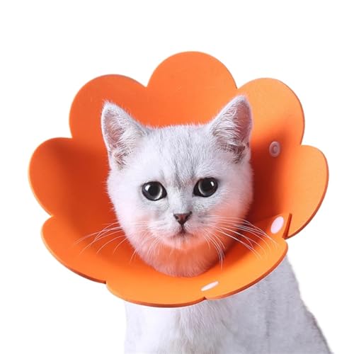 Halskrause Katze Blumenförmiges Katzenhalsband zur Wundheilung, Schutzkegel for Kätzchen, Welpen, Haustier, Schutzhalsband(Color:Orange,Size:M) von AYWTIUN