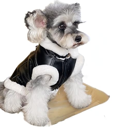 AZA Schwarze Lederweste, Jacke, Kaltwettermantel, Bär, Baumwollpullover, Kleidung für Haustiere, Jungen, für kleine Hunde, Hunde, niedliches Katzenmädchen-Outfit, Hundepullover, Winterkostüme, Größe AZA Schwarze Lederweste, Jacke, Kaltwettermantel, Bär, Baumwollpullover, Kleidung für Haustiere, Jungen, für kleine Hunde, Hunde, niedliches Katzenmädchen-Outfit, Hundepullover, Winterkostüme, Größe von AZA