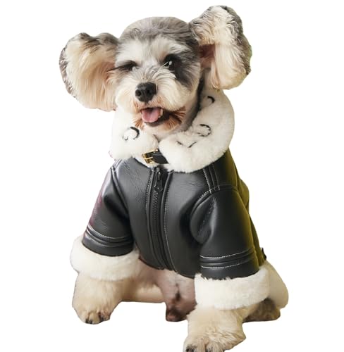 Hundekostüm, schwarze Lederjacke, Kaltwettermantel, Bär, Baumwollpullover, Kleidung für Haustiere, Jungen für kleine Hunde, niedliche Katze, Mädchen, Outfits, Hundepullover, Winterkostüme (XXL, Hundekostüm, schwarze Lederjacke, Kaltwettermantel, Bär, Baumwollpullover, Kleidung für Haustiere, Jungen für kleine Hunde, niedliche Katze, Mädchen, Outfits, Hundepullover, Winterkostüme (XXL, von AZA