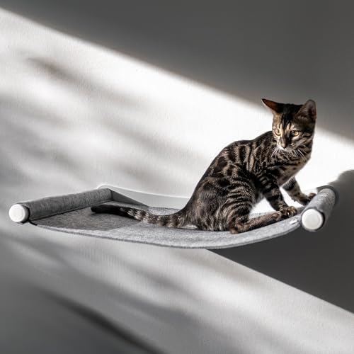 AZANO® Katzenhängematte XL Metall | Designer Kletterwand Katzen | Katzenbett Wand | extra groß und stabil - (Grau) von AZANO
