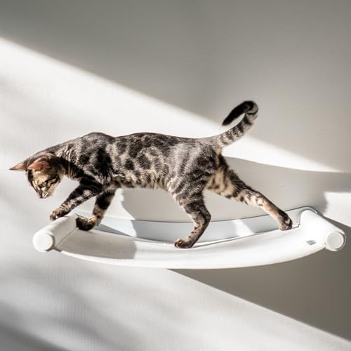 AZANO® Katzenhängematte XL Metall | Designer Kletterwand Katzen | Katzenbett Wand | extra groß und stabil - (Grau) (Weiß) von AZANO