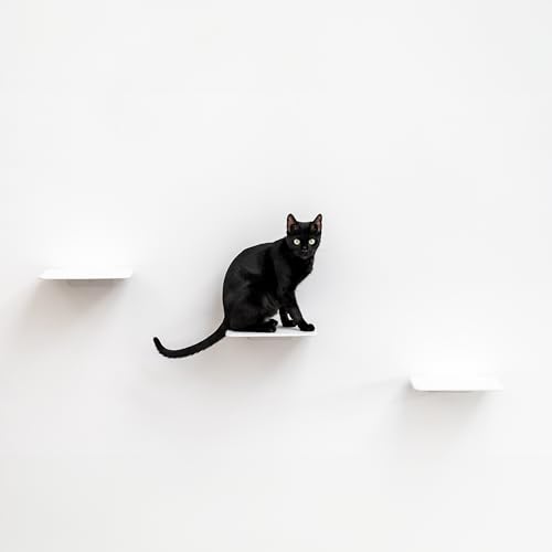 AZANO® Katzentreppe 3er Set Groß | [Modernes Design aus Metall] Kletterwand Katzen | Katzenleiter Wand | Katzentreppe Wand | Katzenleiter | Katzenmöbel zum Klettern(Weiß - Filz) von AZANO
