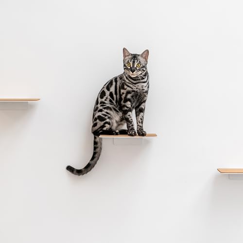 AZANO® Katzentreppe 3er Set Groß | [Modernes Design aus Metall] Kletterwand Katzen | Katzenleiter Wand | Katzentreppe Wand | Katzenleiter | Katzenmöbel zum Klettern (Weiß - Kork) von AZANO