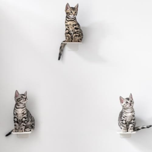 AZANO® Katzentreppe 3er Set | Kletterwand Katzen | Katzenleiter Wand [Modernes Design aus Metall] | Katzentreppe Wand | Katzenleiter | Katzenmöbel zum Klettern | S 16x12cm| (Weiß - Filz) von AZANO