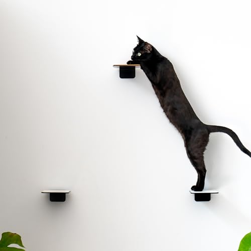 AZANO®️ Katzentreppe 3er Set | Kletterwand Katzen | Katzenleiter Wand [Modernes Design aus Metall] | Katzentreppe Wand | Katzenleiter | Katzenmöbel zum Klettern | S 16x12cm| (Schwarz - Kork) von AZANO