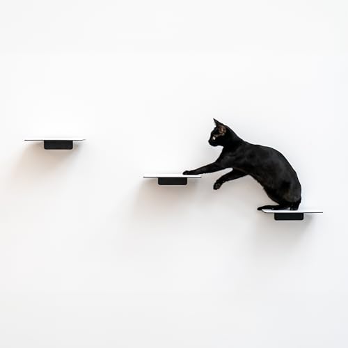 AZANO Katzentreppe 3er Set Groß | [Modernes Design aus Metall] Kletterwand Katzen | Katzenleiter Wand | Katzentreppe Wand | Katzenleiter | Katzenmöbel zum Klettern (Schwarz - Filz) von AZANO