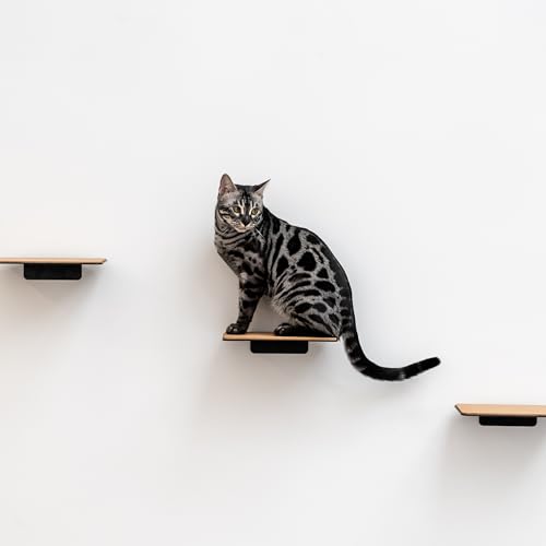 AZANO Katzentreppe 3er Set Groß | [Modernes Design aus Metall] Kletterwand Katzen | Katzenleiter Wand | Katzentreppe Wand | Katzenleiter | Katzenmöbel zum Klettern (Schwarz - Kork) von AZANO
