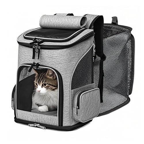 Erweiterbarer Katzenrucksackträger - Von Fluggesellschaften zugelassene Haustiertragetasche für kleine Katzen Hunde bis zu 7,7 kg, Reiserucksack mit atmungsaktivem Mesh für Outdoor Camping Wandern Erweiterbarer Katzenrucksackträger - Von Fluggesellschaften zugelassene Haustiertragetasche für kleine Katzen Hunde bis zu 7,7 kg, Reiserucksack mit atmungsaktivem Mesh für Outdoor Camping Wandern von AZHOKTD