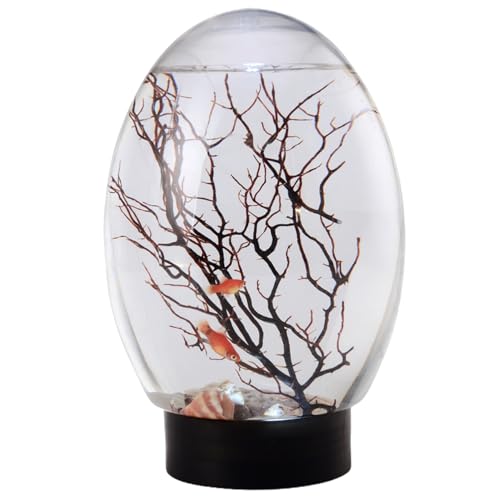 AZIDWERYQ Mini-Fischtank, kleines Desktop-Aquarium mit LED-Licht, selbsthaltendes Ökosystem, keine Notwendigkeit, Wasser zu füttern oder zu wechseln, Desktop-Fischschale für Home Office AZIDWERYQ Mini-Fischtank, kleines Desktop-Aquarium mit LED-Licht, selbsthaltendes Ökosystem, keine Notwendigkeit, Wasser zu füttern oder zu wechseln, Desktop-Fischschale für Home Office von AZIDWERYQ