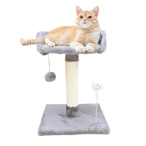 Kratzbaum für Wohnungskatzen | Indoor-Katzen-Katzenkratzbaum-Turm-Kratzbaum,Gemütlicher Mini-Katzenpfleger, interaktives Spielzeug für schlafende und spielende Kätzchen und Katzen Azoob von AZOOB