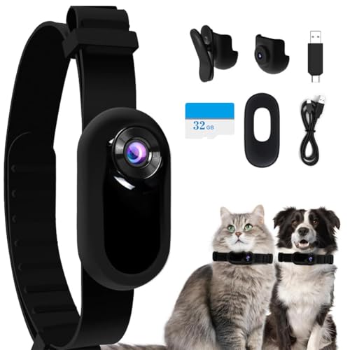 AZURAOKEY Katzen-Kamera-Halsband mit 32 GB SD-Karte, HD 1080P Hundehalsbandkamera, Mini-Körperkamera, Action-Kamera, kabellose Kamera für Katzenhalsband, Haustierhalsband, Kamera, Outdoor, von AZURAOKEY