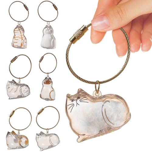 AZURAOKEY Schlüsselanhänger mit Tierhaarreliquien-Kapsel – Transparente Aufbewahrungsflasche for Katzenhaare & Gedenkgeschenk for Tierhalter, Sammler-Katzenhaarschlüsselanhänger-Flasche AZURAOKEY Schlüsselanhänger mit Tierhaarreliquien-Kapsel – Transparente Aufbewahrungsflasche for Katzenhaare & Gedenkgeschenk for Tierhalter, Sammler-Katzenhaarschlüsselanhänger-Flasche von AZURAOKEY