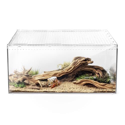 Reptilien-Terrarium-Tank, vielseitiges Gehege für Gecko-Tank, Eidechsenkäfig, Spinnen-Starter-Set, Einsiedlerkrebse, Vogelspinne, Krippen, perfektes Aquarium für Schlangen, Frösche, Schnecken Reptilien-Terrarium-Tank, vielseitiges Gehege für Gecko-Tank, Eidechsenkäfig, Spinnen-Starter-Set, Einsiedlerkrebse, Vogelspinne, Krippen, perfektes Aquarium für Schlangen, Frösche, Schnecken von AZV