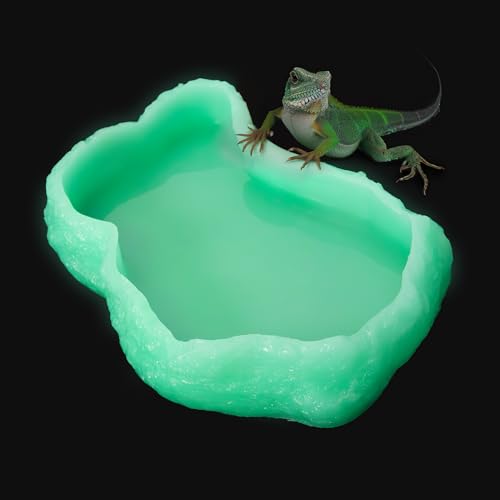 XLarge Reptilien-Futterschale für Wasser- und Steine, leuchtende Amphibien-Futterschale, Kunstharz-Futterstation für Eidechsen, Chamäleon, Leopardengecko, Frosch, Bartagamen, Schlange, XLarge Reptilien-Futterschale für Wasser- und Steine, leuchtende Amphibien-Futterschale, Kunstharz-Futterstation für Eidechsen, Chamäleon, Leopardengecko, Frosch, Bartagamen, Schlange, von AZV