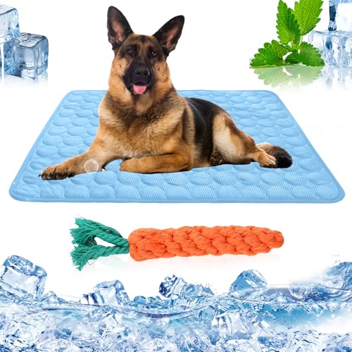 AZVFLY Kühldecke Hund Waschbar Kühldecke Katzen: Ungiftig Kühlkissen für Haustiere Faltbar Kühlmatte Hund Schlafplätze & Möbel für Hunde im Sommer (100 * 70CM-Blau) von AZVFLY