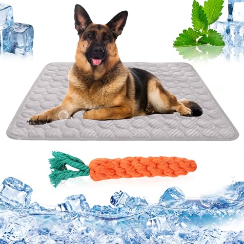 AZVFLY Kühldecke Hund Waschbar Kühldecke Katzen: Ungiftig Kühlkissen für Haustiere Faltbar Kühlmatte Hund Schlafplätze & Möbel für Hunde im Sommer (70 * 55CM-Grau) von AZVFLY