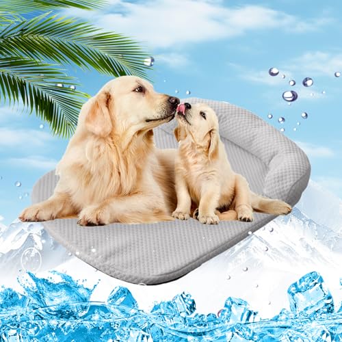 AZVFLY Kühlmatte Hund Selbstkühlende Hundematte Kühldecke: Schlafplätze & Möbel für Hunde Waschbar Hund Kältematte für Drinnen, Draußen und Auto (65 * 50CM-Grau) von AZVFLY
