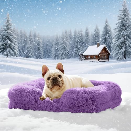 Orthopädisches Hundebett Grosse Hundesofa: Wärme rutschfest Bissfestigkeit Eiförmiger Schwamm Hundekissen Abnehmbar Quaste Hundematte Wintergeschenk für Tierliebhaber an ihre Hunde (Lila, L) von AZVFLY