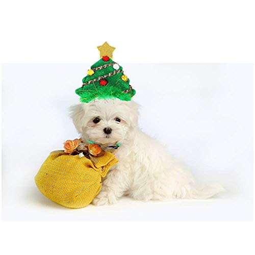 AZX Weihnachts-Haustier-Kostüm Katze Hund Stirnband Fancy Einstellbare Xmas Tree Haarband Weihnachtsdekoration Grün (Groß) von AZX