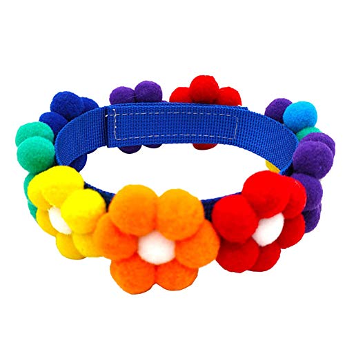 AZXAZ Buntes Katzenhalsband, Bommel, Blume, Krawatte, Dekoration, Hundehalsband, Halskette, verstellbar, niedlich, Festival, Cosplay, Halsbekleidung, Party-Requisiten AZXAZ Buntes Katzenhalsband, Bommel, Blume, Krawatte, Dekoration, Hundehalsband, Halskette, verstellbar, niedlich, Festival, Cosplay, Halsbekleidung, Party-Requisiten von AZXAZ