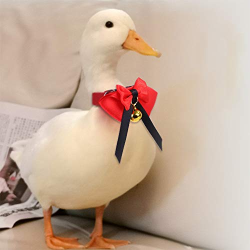 AZXAZ Entenhalsband für Haustiere Chicken Goose Neck Band Verstellbare Haustierfliege mit Bell Decorative Pet Supplies (Rot) von AZXAZ