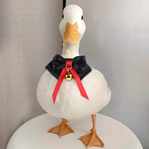 AZXAZ Entenhalsband für Haustiere Chicken Goose Neck Band Verstellbare Haustierfliege mit Bell Decorative Pet Supplies (Schwarz) von AZXAZ