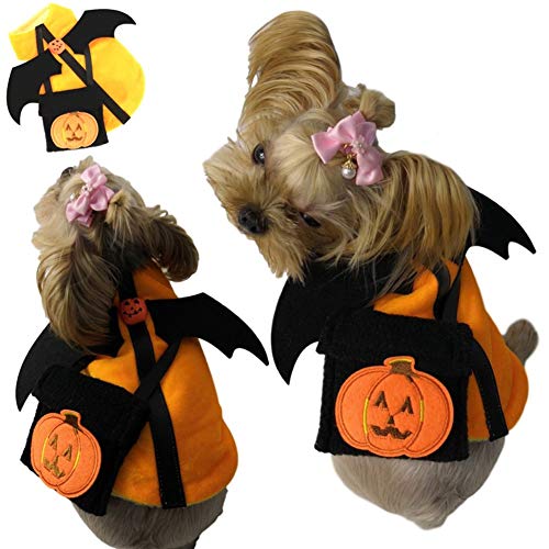 AZXAZ Halloween Kürbis Kostüm für Hund Katze Cosplay Schwarze Flügel Kleidung mit Tasche Weiche warme Outfits Hoodie Halloween Special Events Kostüm (M) von AZXAZ