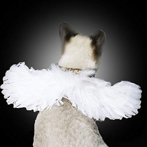 AZXAZ Haustier Hund Katze Engel Flügel Halsband Halloween Kostüm Kitty Welpen Weste Party Cosplay Weiße und Schwarze Engel Für Kleines Haustier (S, Weiß) von AZXAZ