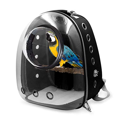 AZXAZ Haustier Vogel Rucksack für Papagei Reisetasche mit Barsch Raumkapsel Vogel Travel Cage Carrier Transparente und atmungsaktive Umhängetasche für Vogelkatze Welpe (Schwarz) von AZXAZ