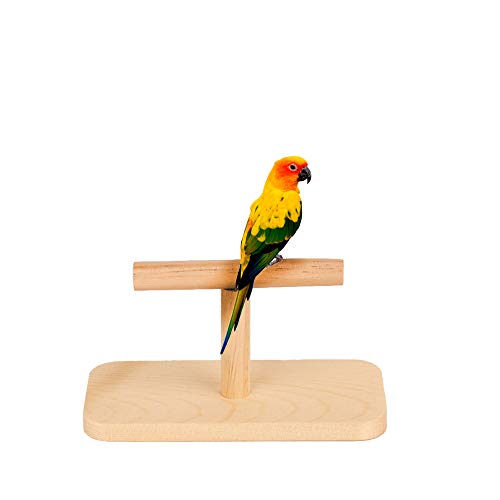 AZXAZ Holz Vogel Barsch Papagei Ständer Plattform T-förmigen Holz Barsch Käfig Tischplatte Training Barsch Spielzeug von AZXAZ