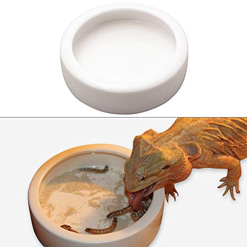 AZXAZ Keramik Reptile Futternapf Kleine Runde Abgenutzte Dish Bowl Für Eidechsengecko Reptilien-Schüssel (6,5 * 2,3 cm) von AZXAZ