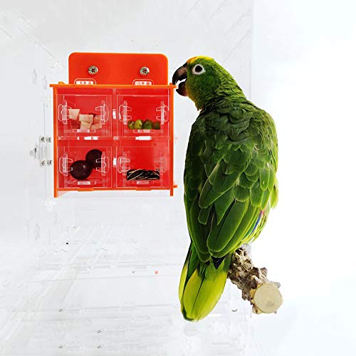 AZXAZ Papagei Futterspielzeug Feeder Vogel Intelligenz Wachstum Käfig Nahrungsmittelkästen Müssen selbst zusammenbauen Für Vogel Papagei Sittich Nymphensittich von AZXAZ