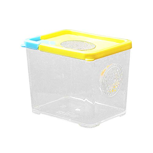 Acryl Spinne Fütterungsbox Transparente Reptilienzuchtbox Vollansicht Terrarien Transportbox Für Spinnen, Skorpione, Käfer (10,5 * 8 * 9 cm) von AZXAZ