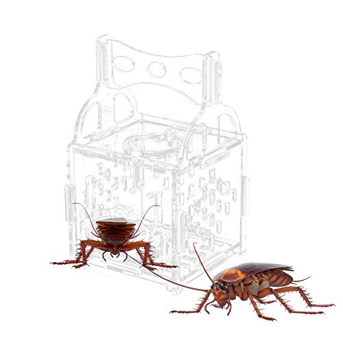 Insektenfütterungsbox Acryl Transparente Reptilienzuchtbox Kleine 8x8x14cm Terrarium Container Tragbare Futterbox für Spinnenechsen-Skorpion von AZXAZ