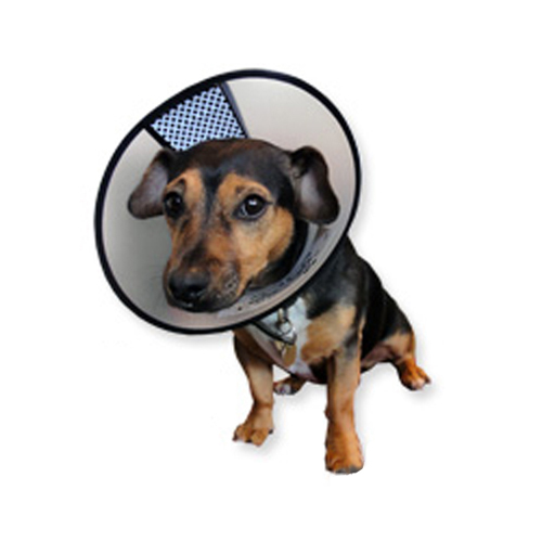 AA-Vet Easyfix Collar - XXS AA-Vet Easyfix Collar - XXS von Aa