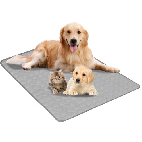 Aartner Kühlmatte Hund, Kühlmatte Katze M-XXL, Kühlende Decke, Waschbar Haustiere Kühldecke Hund für Zuhause Unterwegs oder im Auto (Grau, 100 x 150 cm) von Aartner