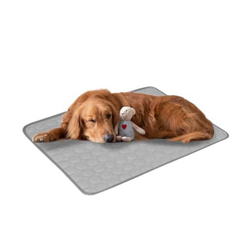 Aartner Kühlmatte Hund, Kühlmatte Katze M-XXL, Kühlende Decke, Waschbar Haustiere Kühldecke Hund für Zuhause Unterwegs oder im Auto (Grau, 70 x 100 cm) von Aartner