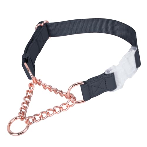 Martingale-Halsband aus weichem Leder für Hunde, rotgoldene Kette, limitierte Schlupfhalsbänder mit Schnellverschluss-Schnalle, stilvoll, verstellbar, Nylon, kein Ziehen, Trainingshalsband für kleine von AaufiLux