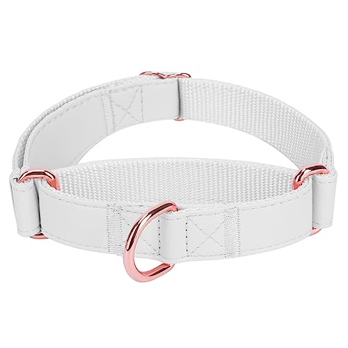Martingale-Hundehalsband aus weichem Leder, verstellbar, rotgold, limitierte Schlupfhalsbänder [leicht zu reinigen], stilvolles, langlebiges strapazierfähiges Nylon, kein Ziehen, Trainingshalsband für von AaufiLux