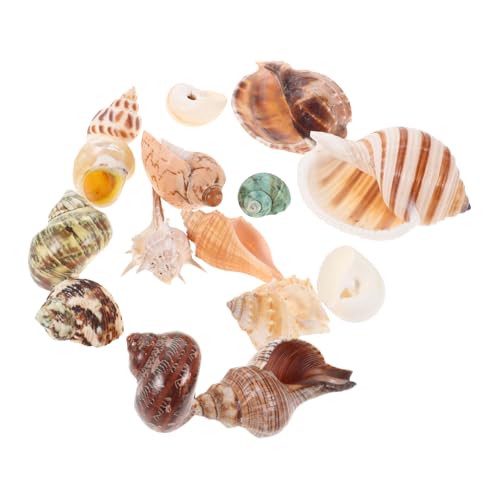 15 Stück Teiliges Muscheln für Aquarien Dekoration Natürliche Meeresschalen als Landschaftsornamente für Bastelarbeiten und Tropische Strand Themen Dekorationen 15 Stück Teiliges Muscheln für Aquarien Dekoration Natürliche Meeresschalen als Landschaftsornamente für Bastelarbeiten und Tropische Strand Themen Dekorationen von Abaodam