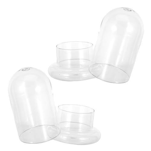 2 Stück Miniature Moosflasche DIY Landschaftsflasche für Terrarien und Landschaften für Dekoration und Projekte Wohnräumen von Abaodam