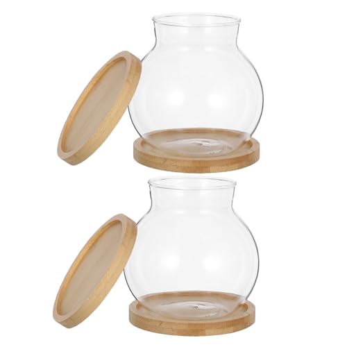 Abaodam 2satz Glasterrarium Für Hydrokultur Transparentes Pflanzgefäß Mit Korkdeckel Bambustablett Tischdeko Für Pflanzen Blumenvase Für Sukkulenten Hydrokultur-pflanzgefäß Für Abaodam 2satz Glasterrarium Für Hydrokultur Transparentes Pflanzgefäß Mit Korkdeckel Bambustablett Tischdeko Für Pflanzen Blumenvase Für Sukkulenten Hydrokultur-pflanzgefäß Für von Abaodam