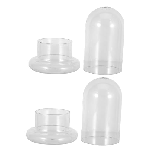 2Stücke Mikrolandschafts Ökologisches Glasflasche Terrarium Dekoration für DIY Mikrolandschaften für Schlafzimmer Wohnzimmer von Abaodam