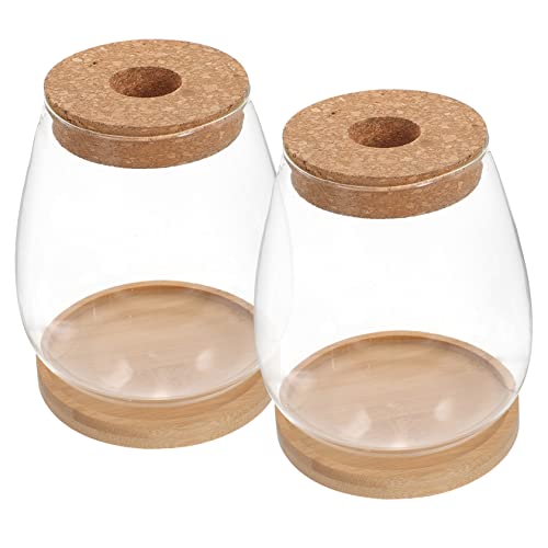 Abaodam 1 Satz Hydroponische Pflanzenhalter Glasflasche Transparentes Deko für Große mit Drag zur Pflanzenpräsentation und Dekoration Abaodam 1 Satz Hydroponische Pflanzenhalter Glasflasche Transparentes Deko für Große mit Drag zur Pflanzenpräsentation und Dekoration von Abaodam