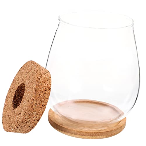 Abaodam 1 Satz Klares Glasvase für DIY Terrarium Transparentes Landschaftsgefäß mit Bambusunterlage für Dekoration im Garten Langlebig von Abaodam