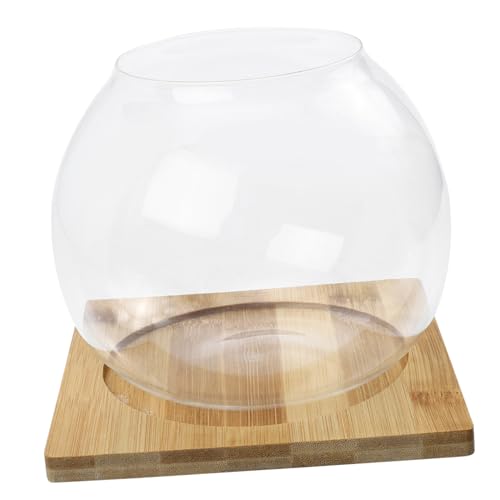 Abaodam 1 Satz Micro Landschaftsflasche Transparentes für DIY Holzuntersetzer für Moos und Kleine Pflanzen von Abaodam